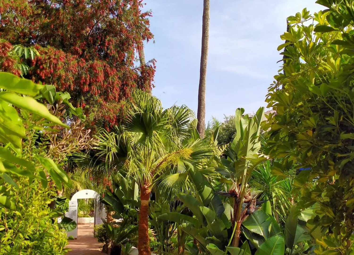 Holiday home Apartment Rincon De Marinos Almunecar